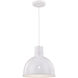 R Series 1 Light 12 inch White Indoor Pendant Ceiling Light